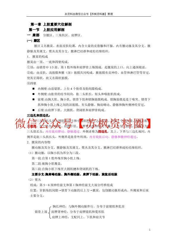 穴位解剖学